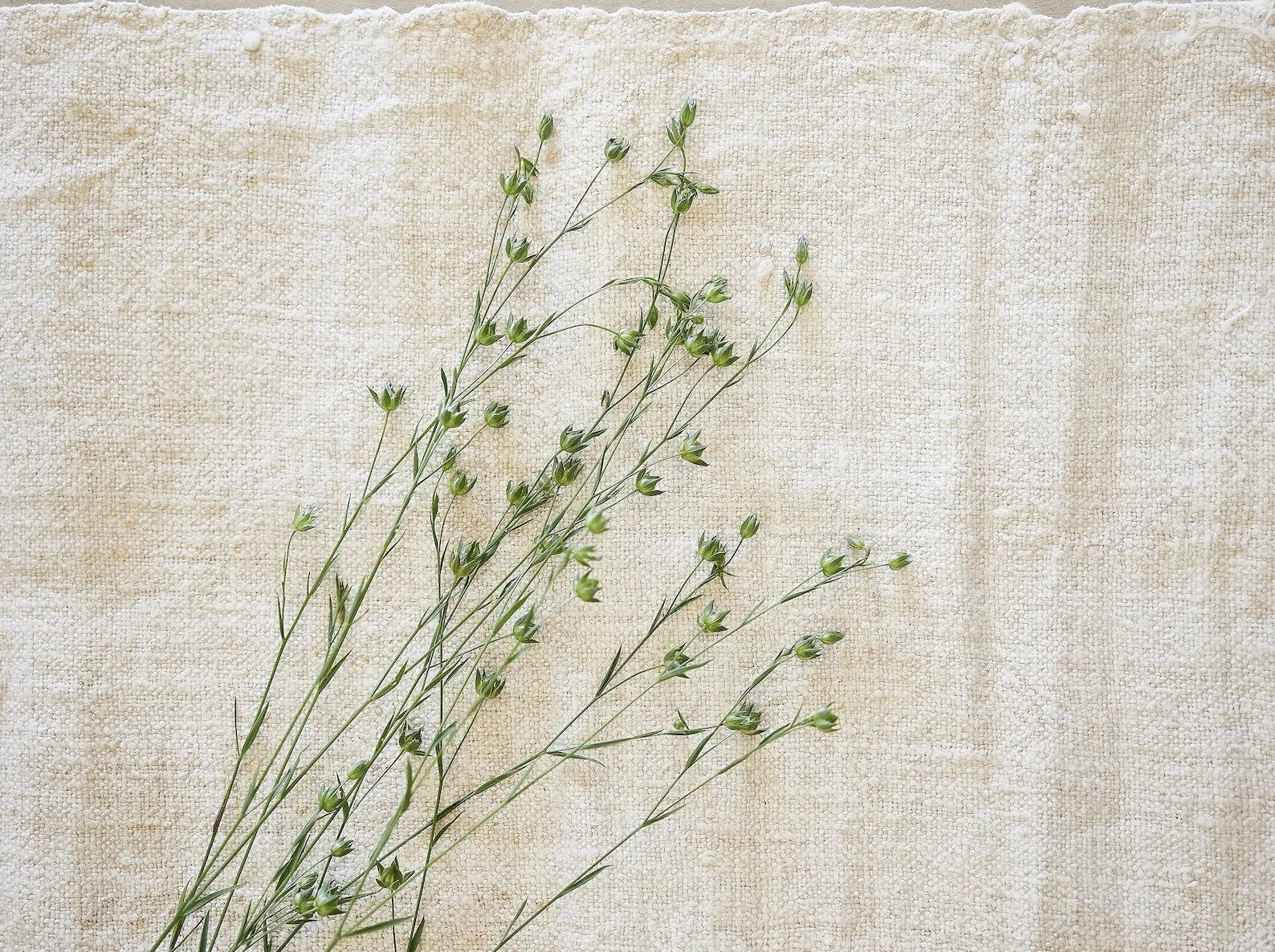 Cozy fabric texture with delicate greenery, natural and calming ambiance